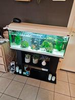 Aqarium en meubel en pomp, Dieren en Toebehoren, Ophalen