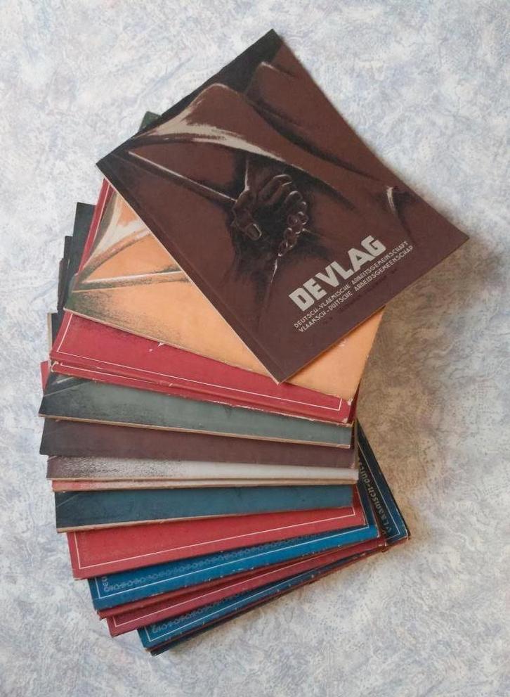 DeVlag Steenlandt Antwerpen Cultuur Vlaanderen Acke Poezië, Boeken, Politiek en Maatschappij, Zo goed als nieuw, Maatschappij en Samenleving