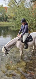 Leuke pony, Dieren en Toebehoren