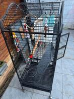 Stalen volière-kooi, Dieren en Toebehoren, Ophalen, Zo goed als nieuw, Volière