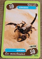 Fotokaart: schorpioen, Verzamelen, 1980 tot heden, Ophalen of Verzenden, Zo goed als nieuw, Dier