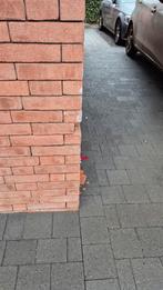 Gezocht vandemoortel septem 8012, Ophalen of Verzenden, Nieuw