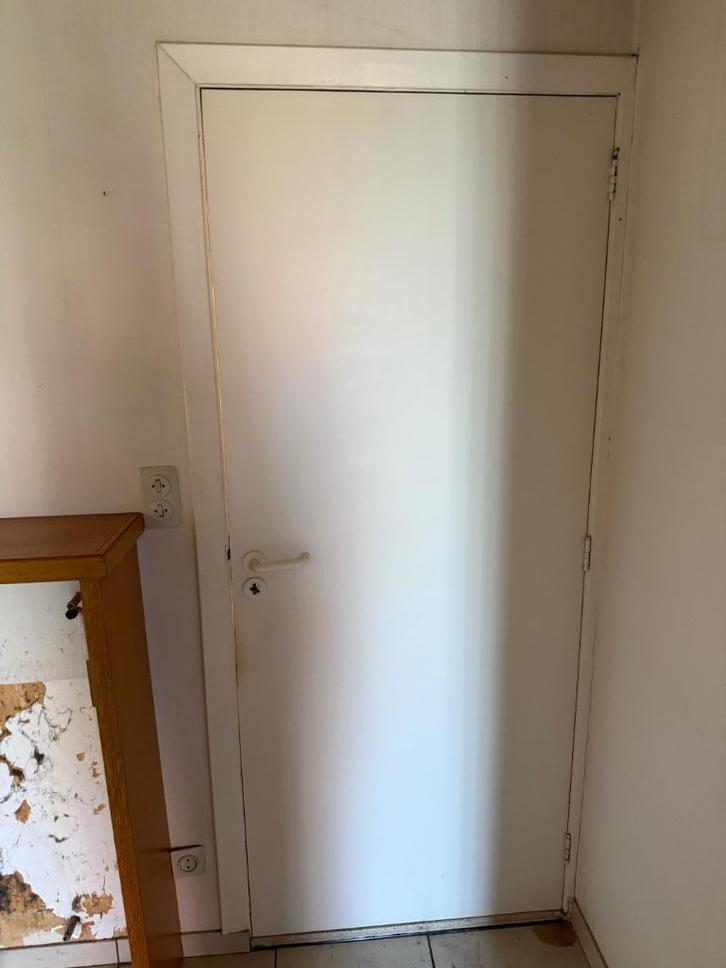 Binnendeuren, Doe-het-zelf en Bouw, Deuren en Vliegenramen, Gebruikt, Binnendeur, 200 tot 215 cm, 80 tot 100 cm, Glas, Hout, Ophalen