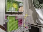 2 Cages hamster, Kooi, Minder dan 75 cm, Minder dan 60 cm, Zo goed als nieuw