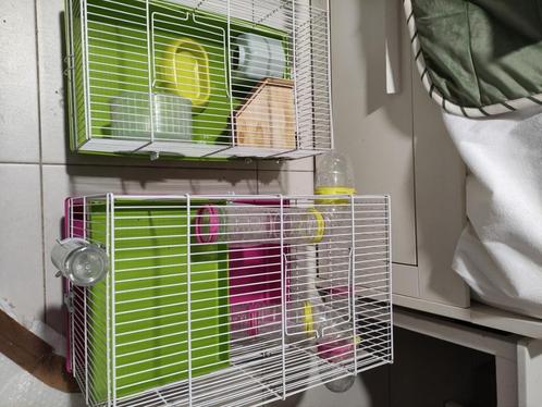 2 Cages hamster, Dieren en Toebehoren, Knaagdieren en Konijnen | Hokken en Kooien, Zo goed als nieuw, Kooi, Minder dan 60 cm, Minder dan 75 cm