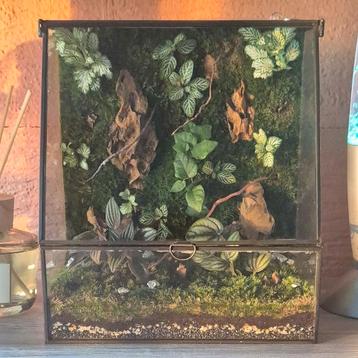  Magisch handgemaakt terrarium  beschikbaar voor biedingen