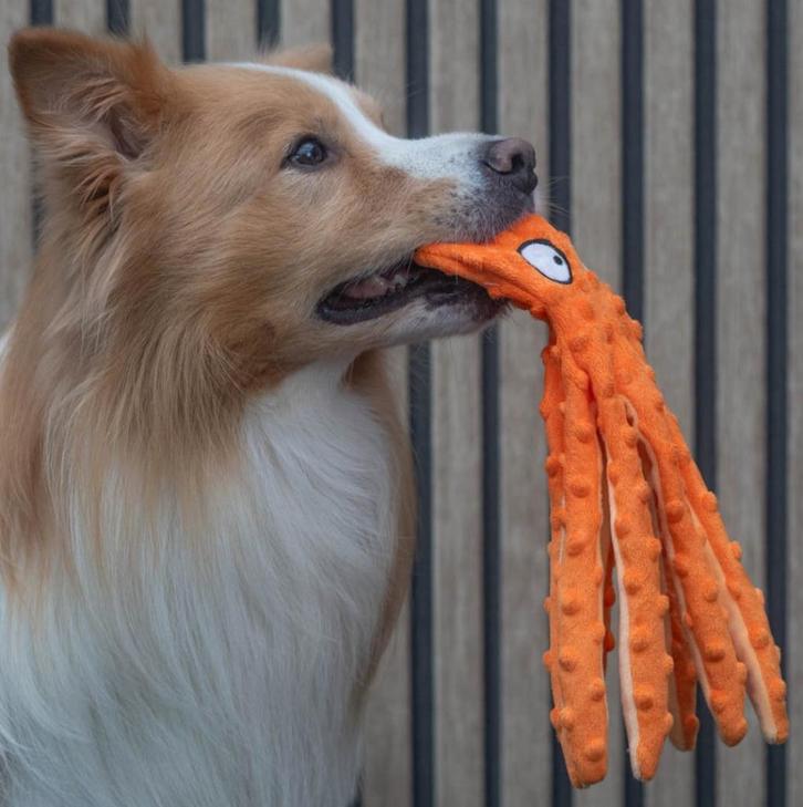 Grote inktvis octopus hondenspeeltje 32cm, Dieren en Toebehoren, Hondenspeelgoed, Nieuw, Knuffels, Ophalen of Verzenden