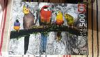 Puzzle oiseaux perruches 500 pcs, Hobby & Loisirs créatifs, Enlèvement ou Envoi