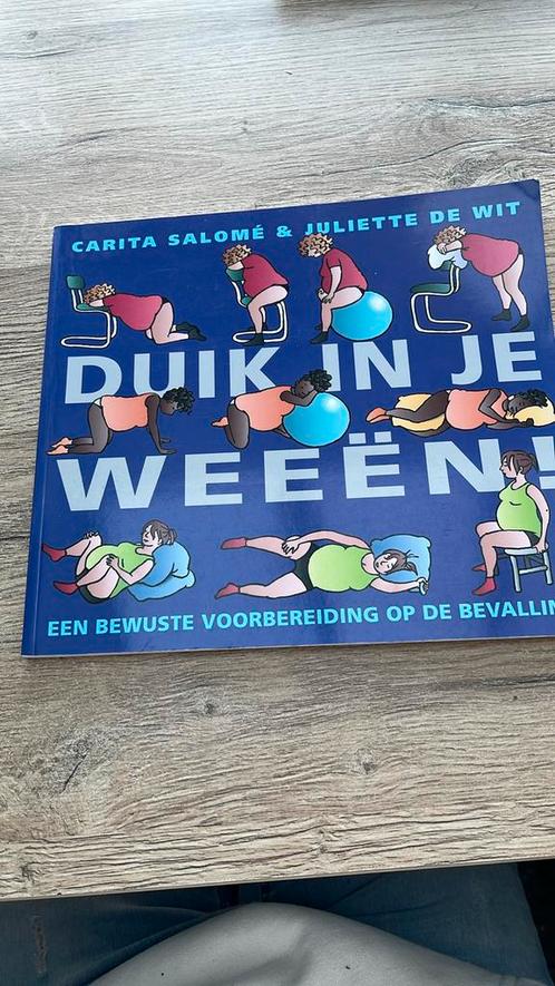 Carita Salome - Duik in je weeen, Livres, Grossesse & Éducation, Comme neuf, Enlèvement ou Envoi