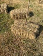 AFHALEN / LEVEREN / RESERVEREN / STOCKEREN van HOOI  -