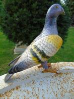 Standbeeld van een duif in gietijzer in kleuren, nieuw!, Tuin en Terras, Ophalen, Nieuw