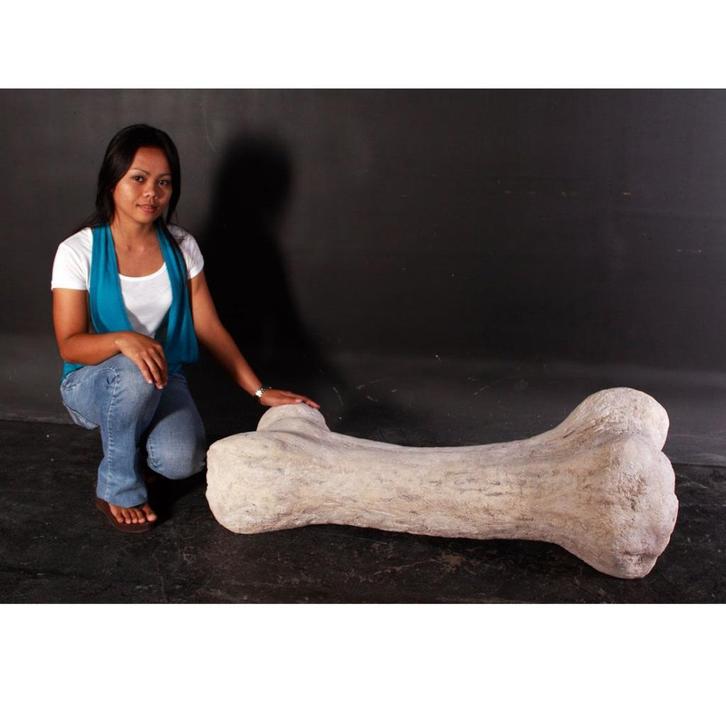 Dinosaur Bone – Dinosaurus beeld Lengte 118 cm, Verzamelen, Dierenverzamelingen, Nieuw, Ophalen