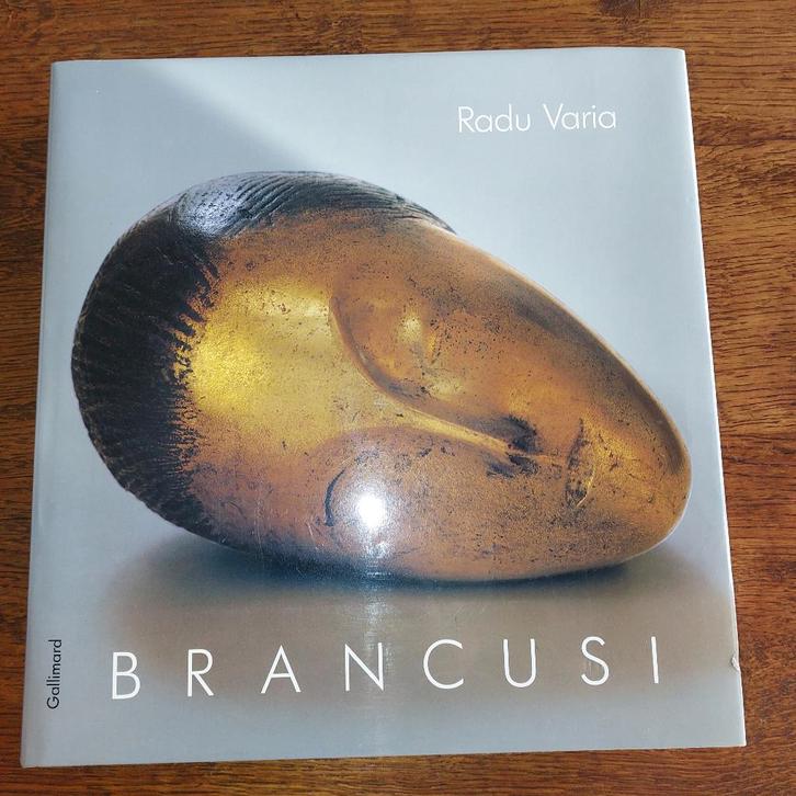kunst boek Brancusi, Boeken, Kunst en Cultuur | Beeldend, Zo goed als nieuw, Beeldhouwkunst, Ophalen of Verzenden