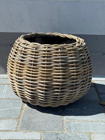 Rieten bloemenmand/drypot beschikbaar voor biedingen