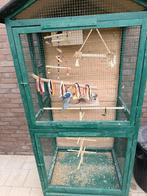 Volier met vogels 2 x koppel groen 1 gele pop, Dieren en Toebehoren, Ophalen, Gebruikt, Overige typen