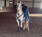 Zadelmak maken van paarden