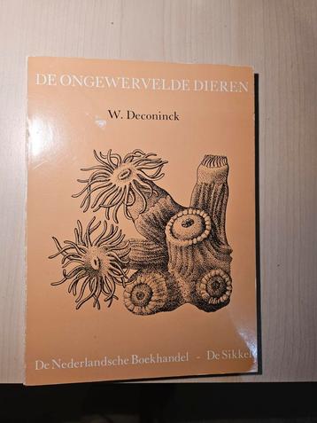 Deconinck - Ongewervelde dieren beschikbaar voor biedingen