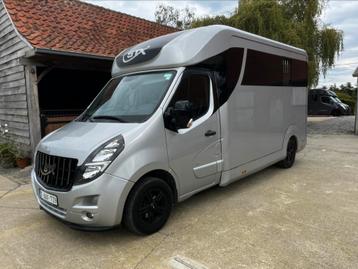 Opvallend mooi STX 38000km!!! Paardencamionette beschikbaar voor biedingen