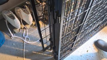 Hondenren 8 panelen h 80 br 80....50 euro beschikbaar voor biedingen