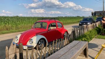 Volkswagen kever 1300 1974 disponible aux enchères