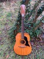 Crucianelli Jumbo 12 string 1972 Italië, Ophalen, Zo goed als nieuw