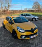 Clio Rs Trophy Akrapović, Auto's, 1618 cc, 161 kW, 1204 kg, Leder