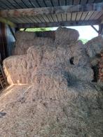 Kleine en grote pakken goed hooi, Ophalen