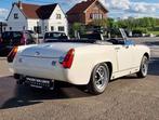 MG Midget 1500 / RHD / BMIHT / PRETE A ROULER, Achat, Intérieur cuir, Boîte manuelle, Midget