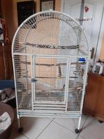 Vogelkooi, Ophalen of Verzenden, Gebruikt, Metaal, Vogelkooi
