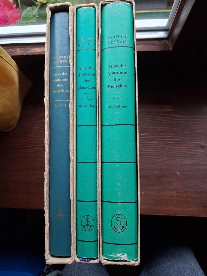 Naslagwerken voor Anatomie van Sobotta-Becher, Boeken, Studieboeken en Cursussen, Zo goed als nieuw, Hoger Onderwijs, Ophalen of Verzenden