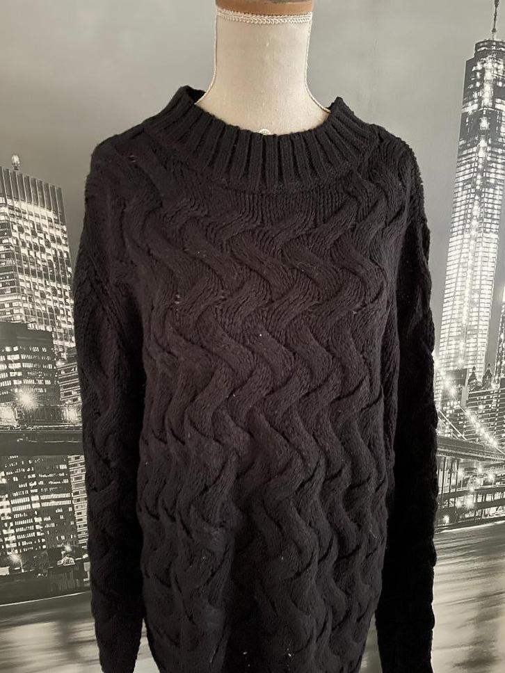 prachtige zwarte trui 48 - 50, Kleding | Dames, Truien en Vesten, Zo goed als nieuw, Maat 46/48 (XL) of groter, Zwart, Verzenden