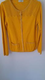 Gilet jaune Damart XS, Vêtements | Femmes, Pulls & Gilets, Enlèvement ou Envoi, Comme neuf, Jaune