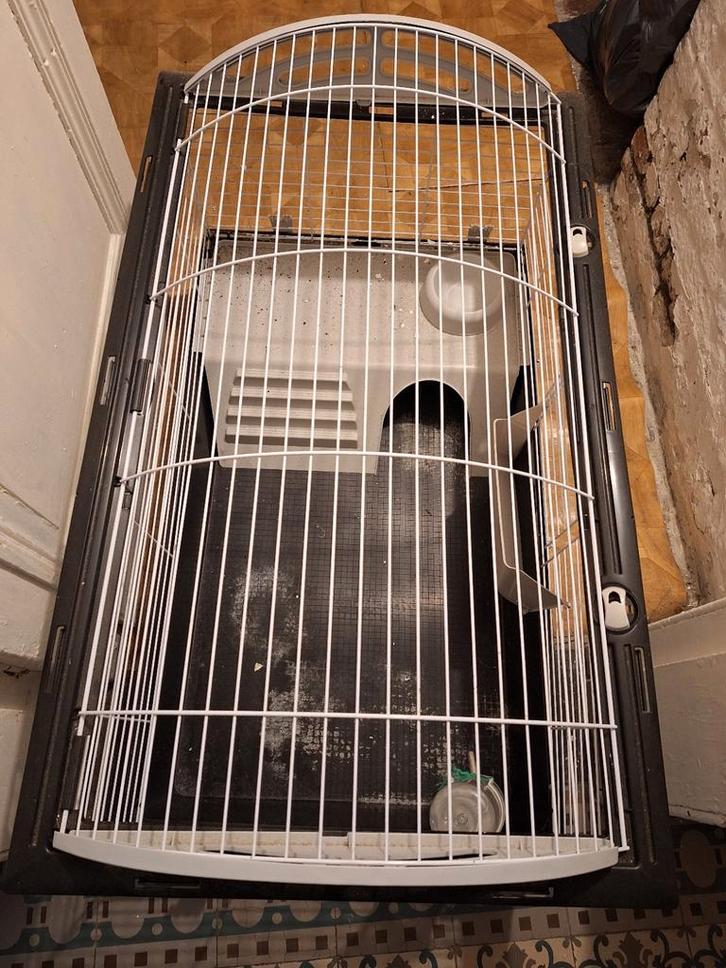 Kooi voor dieren met bakje voeding flesje water., Animaux & Accessoires, Accessoires pour chats, Utilisé, Enlèvement