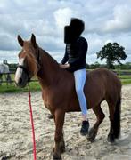 Leuke D pony, Zadelmak