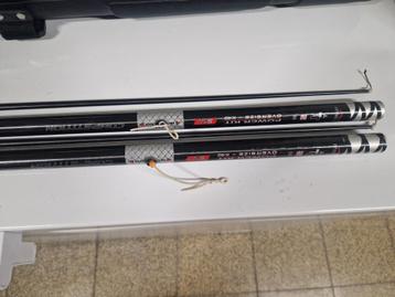 2 colmic topkitten  beschikbaar voor biedingen