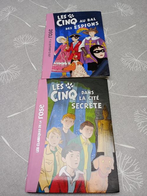 Livres Bibliothèque Rose Les Cinq, Livres, Livres pour enfants | Jeunesse | 10 à 12 ans, Enlèvement ou Envoi