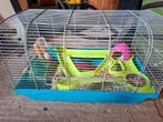 Rusiche dwerg hamsters gratis, Dieren en Toebehoren, Knaagdieren, April, Vrouwelijk
