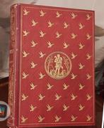 Mooi boek, Antiek en Kunst, Ophalen of Verzenden