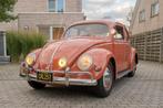 VW Kever ovaal 1957 koraal rood - oldspeed, Auto's, Volkswagen, Particulier, Te koop, Rood, Mistlampen