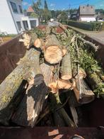 Stookhout op stam, Tuin en Terras, Brandhout, 6 m³ of meer, Ophalen, Overige houtsoorten, Stammen