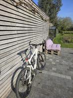 Canyon Nerve XC, Fietsen en Brommers, Gebruikt, Vering, Meer dan 20 versnellingen, Ophalen
