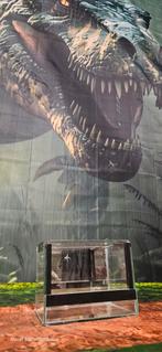 Terrarium   insecten    20x15x15, Dieren en Toebehoren, Ophalen of Verzenden