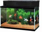 2 aquariums met toebehoren, Ophalen, Zo goed als nieuw, Gevuld zoetwateraquarium