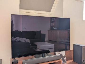 Panasonic JZ1000 55 inch - OLED beschikbaar voor biedingen