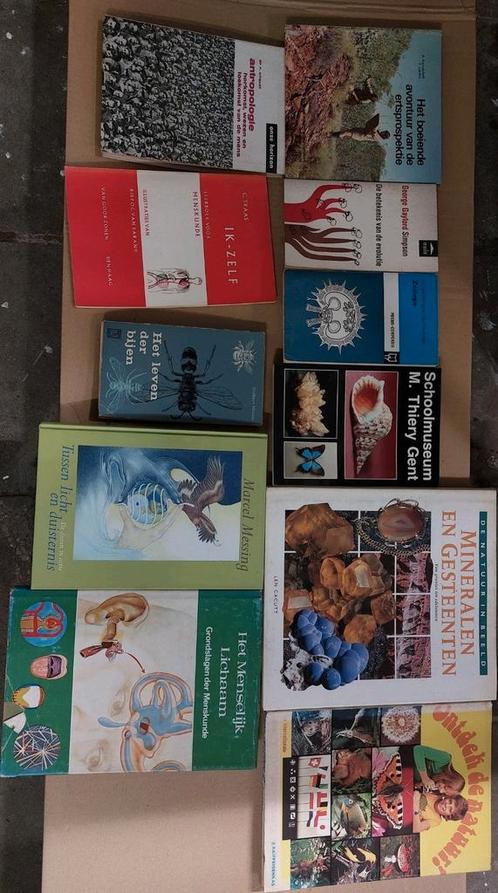 Boeken dieren/menselijk lichaam/natuur, Livres, Nature, Autres sujets/thèmes, Enlèvement ou Envoi
