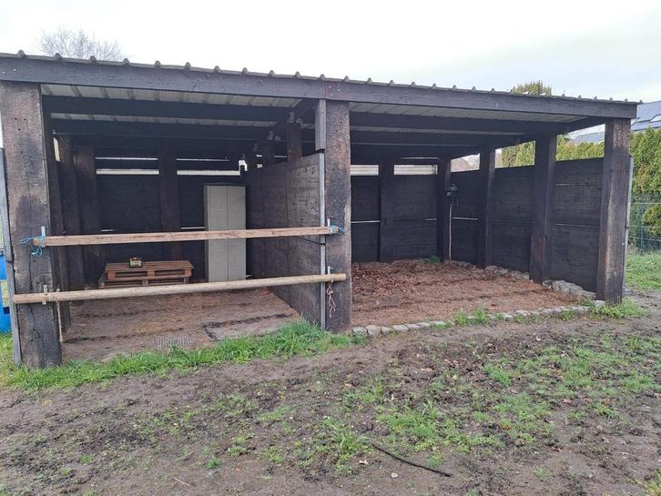 weide te huur Hofstade  Zemst ( Mechelen), Dieren en Toebehoren, Stalling en Weidegang