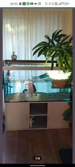 Vivarium aquarium, Dieren en Toebehoren, Ophalen, Zo goed als nieuw