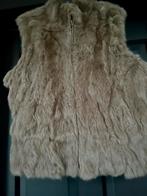 Dames gilet/bodywarmer, Vêtements | Femmes, Vêtements Femmes Autre, Enlèvement, Comme neuf