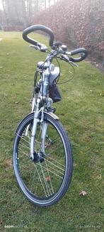 Grijze Oxford, Enlèvement