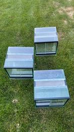 3 mini terrariums, Dieren en Toebehoren, Ophalen, Gebruikt, Terrarium of Paludarium